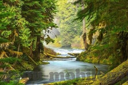 足球比分采集-足球比分采集,技术革新与赛事分析的深度融合