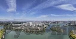 足球比分市场低价-揭秘足球比分市场低价陷阱，如何理性消费避免被割韭菜？
