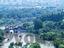 足球比分中国乌兹别克-中国男足VS乌兹别克斯坦,一场比分背后的战术博弈与精神较量