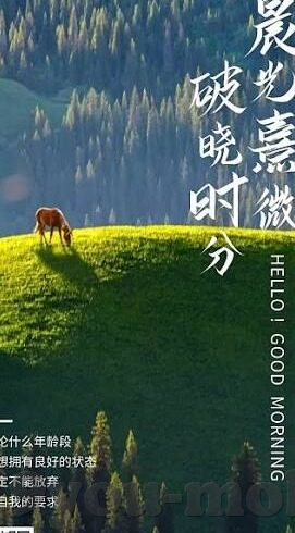 足球的比分是多少-足球比分背后,一场数字游戏里的热血与梦想