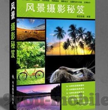 足球即使比分捷报-绿茵烽火,足球即使比分捷报频传,激情与梦想永不落幕